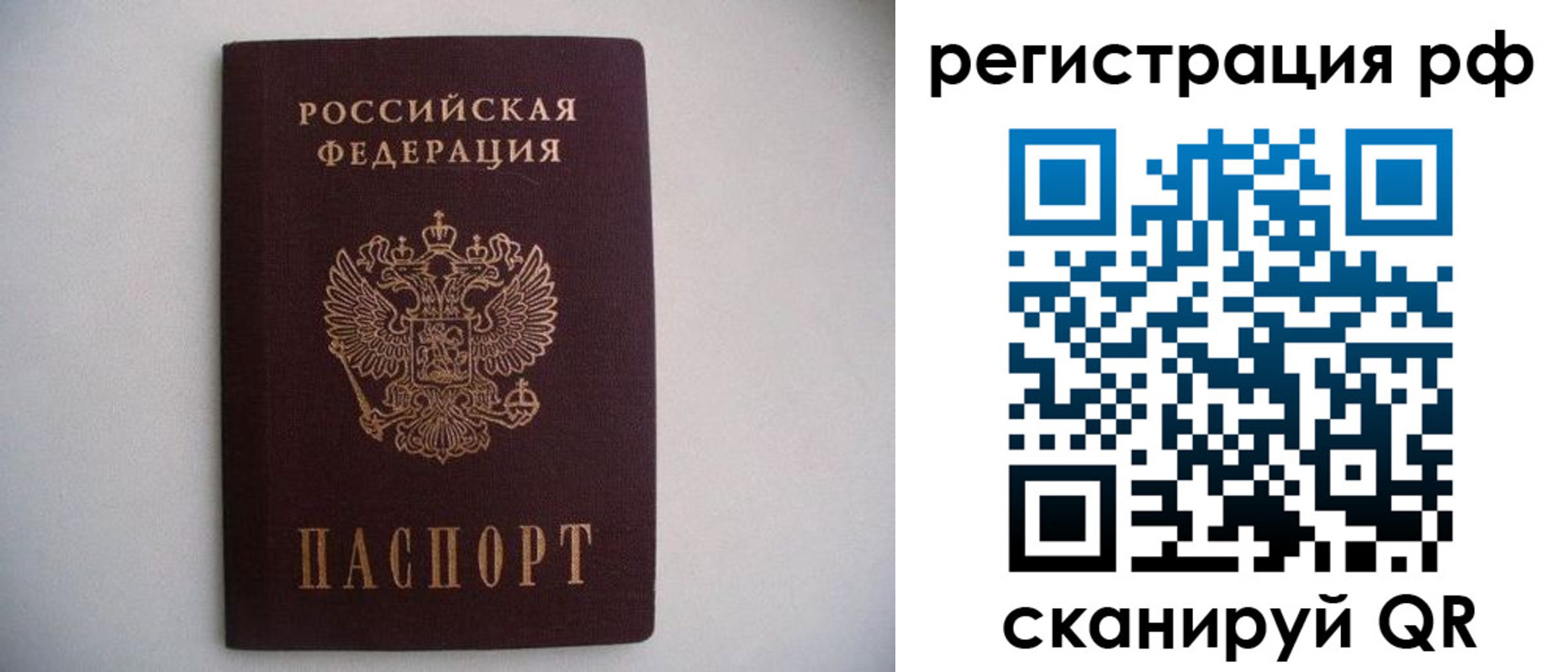 прописка в квартире в Мончегорске