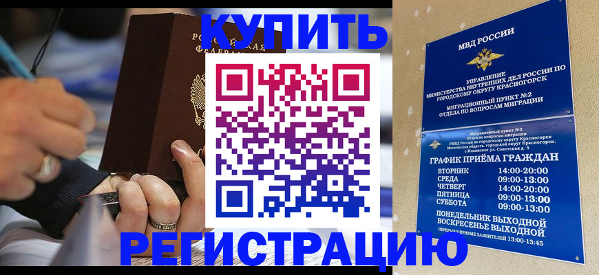 временная регистрация 2025 в Мончегорске